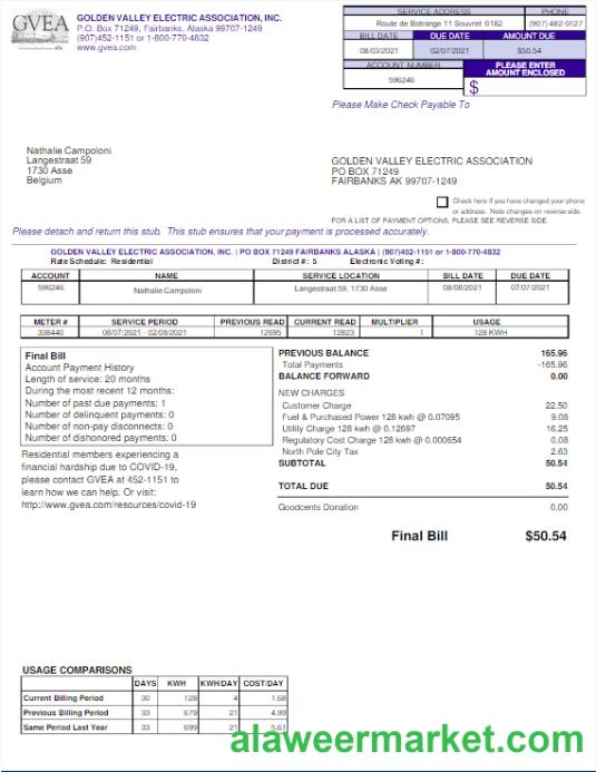 USA GVEA utility bill Word and PDF template